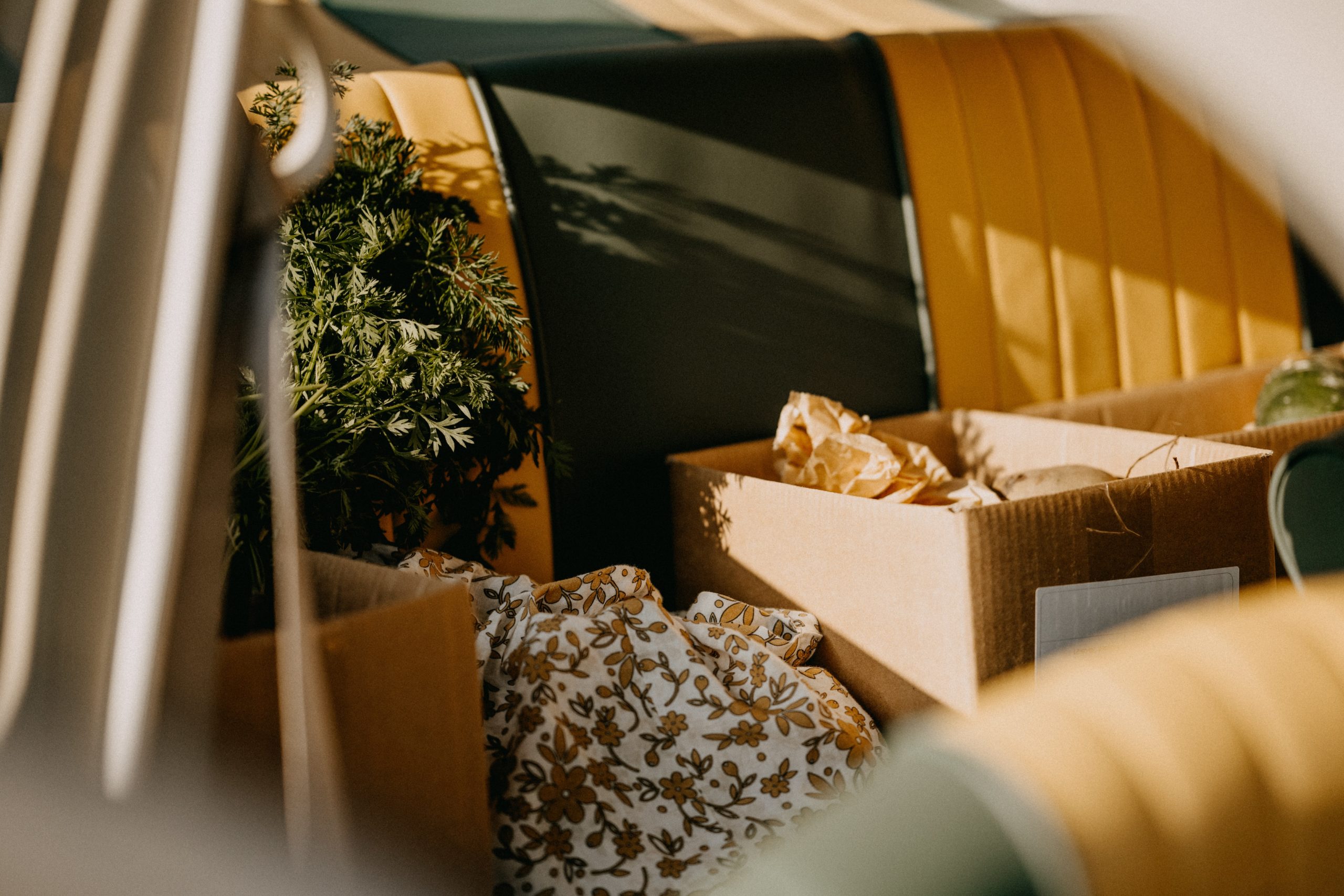 Wohnung neu einrichten nach dem Umzug 